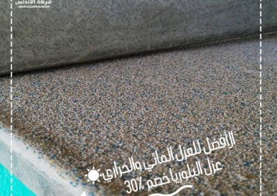 شركة عزل البلوريا